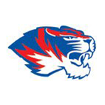 Tiger logo