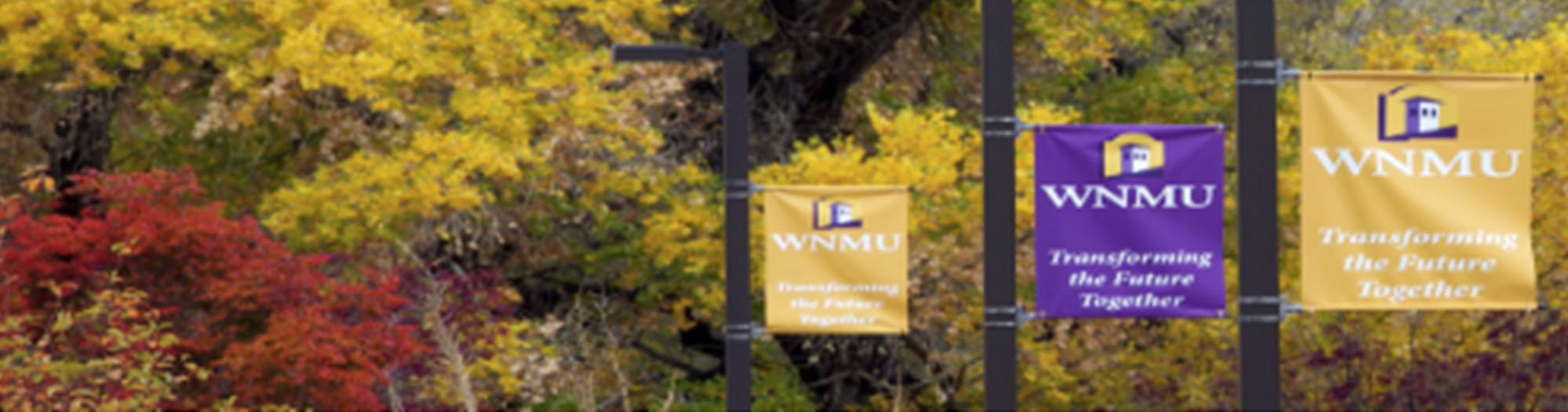 View of colorful trees and banners at WNMU